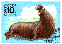 Марки СССР 1978 год, животный мир Антарктики
