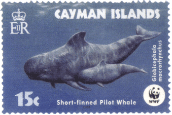 марки каймановы острова