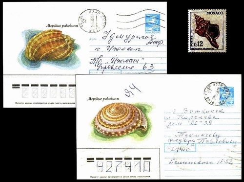 На почтовых конвертах морские ракушки