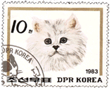 Почтовая марка изображена кошка
