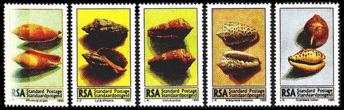 На знаках почтовой оплаты морские ракушки