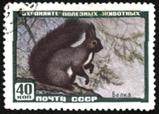 Белка на почтовой марке