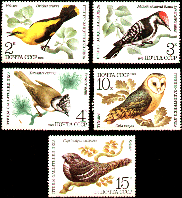 Почтовые марки СССР 1979 год птицы - защитники леса