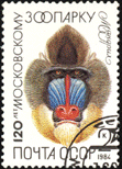 бабуин на почтовой марке