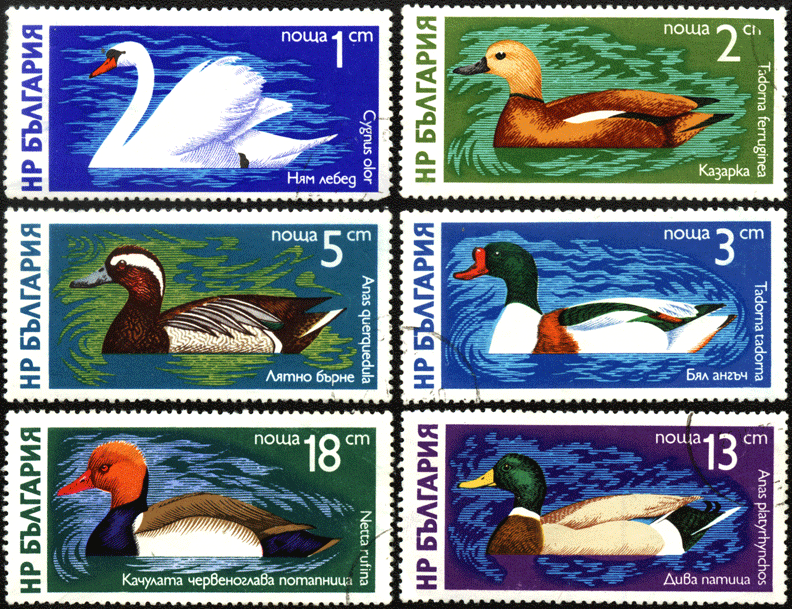 Водоплавающие птицы на почтовых марках Болгарии