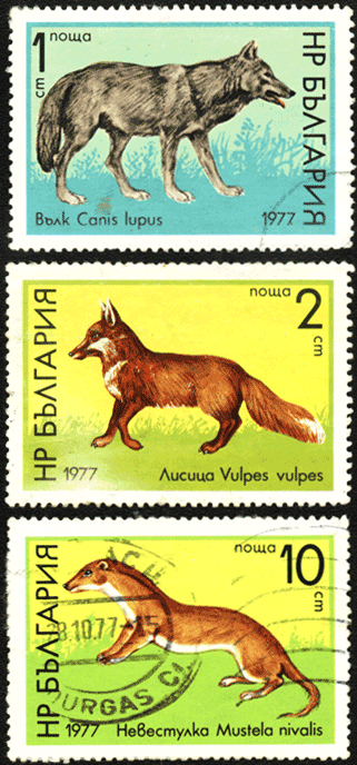 Болгария почтовые марки животные 1977 год