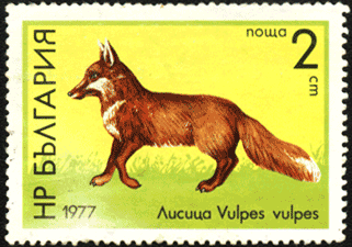 лиса на почтовой марке