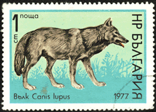 Волк на почтовой марке