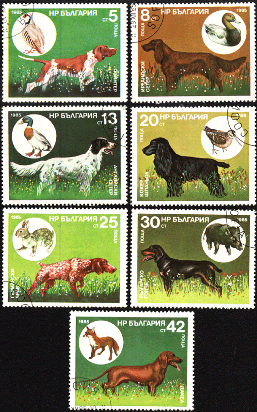 Болгария почтовые марки собаки 1985 год