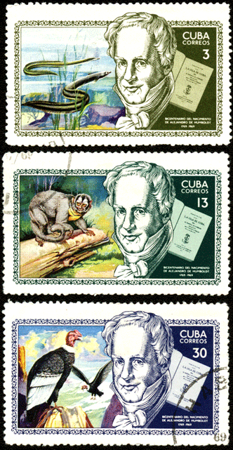Марки Куба 1969 год фауна