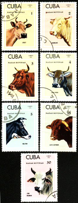 Марки Куба 1973 год коровы