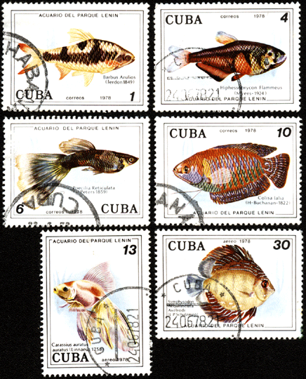 Почтовые марки Куба 1978 год рыбы