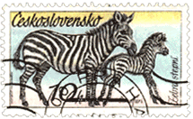 Зебра на почтовых марках