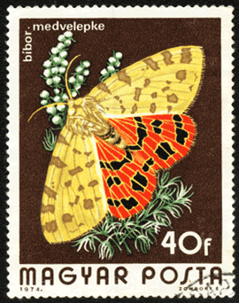 Венгрия почтовая марка 1974 год