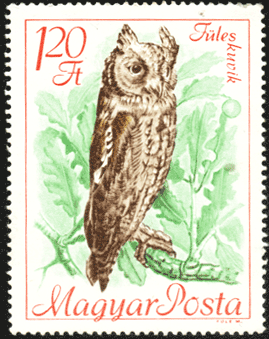 Венгрия почтовая марка сова