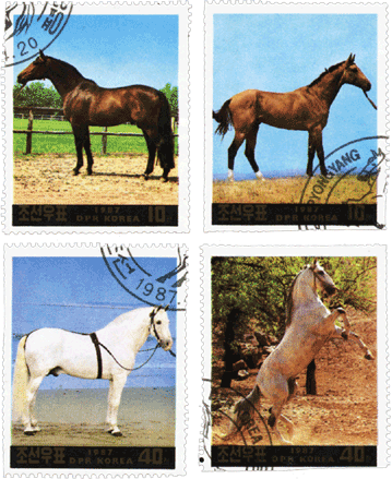 Марки Северная Корея 1987 год, лошади