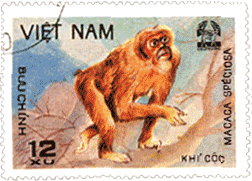 Гиббон на почтовой марке
