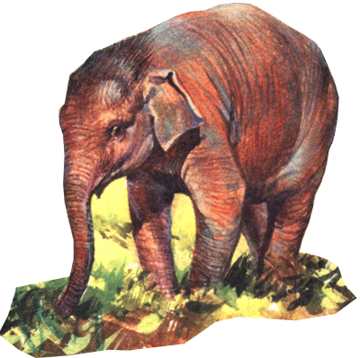 слон на почтовых марках