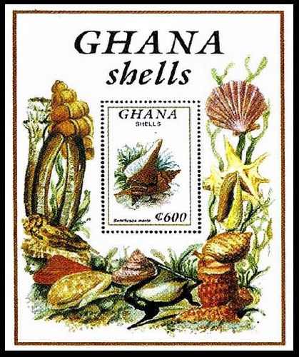 Почтовый блок Гана морские раковины