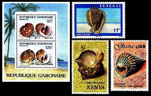 Морские раковины на знаках почтовой оплаты