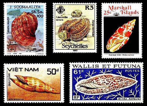 Морские раковины на знаках почтовых марках