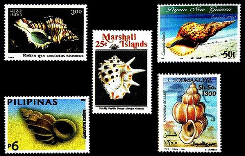 Почтовые марки Индо-Тихоокеанской провинции