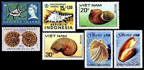 Мир морских моллюсков на почтовых марках