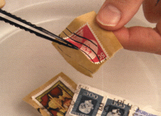 Отделение почтовых марок при помощи пинцета