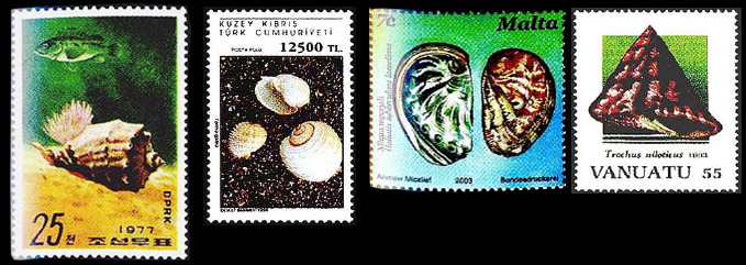 морские раковины на почтовых марках