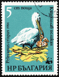 Почтовая марка пеликан Болгария