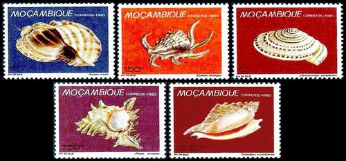 На марках Мозамбика морские раковины
