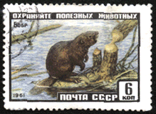 Почтовая марка СССР 1961 год