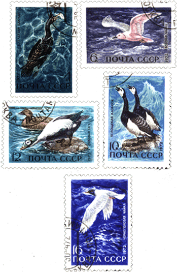 Марки СССР 1972 год пернатые - обитатели побережий морей и океанов