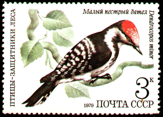 Дятел на почтовых марках