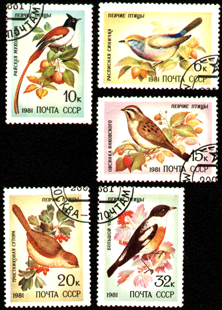 Марки СССР 1981год, певчие птицы