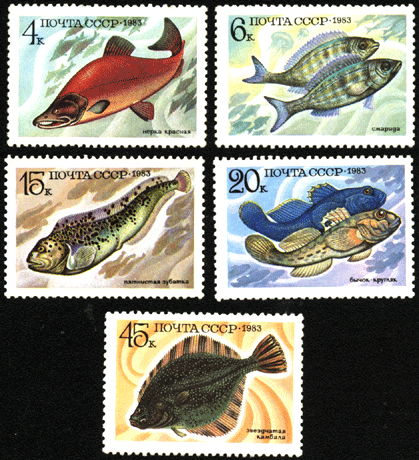 Почтовые марки СССР 1983 год, промысловые рыбы