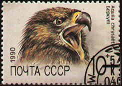 беркут на почтовой марке