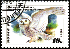 сова на почтовой марке