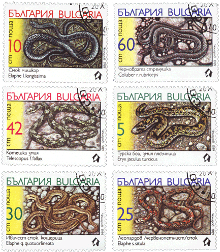 Марки Болгария 1989 год змеи