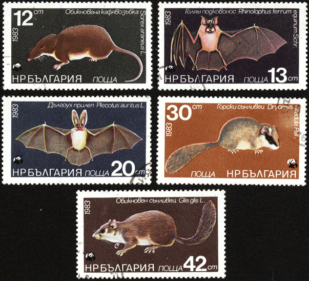 Болгария почтовые марки охраняемые животные 1983 год