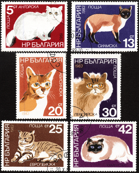 Болгария почтовые марки кошки 1983 год