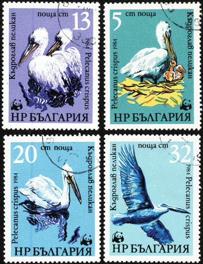 Болгария почтовые марки пеликаны 1984 год