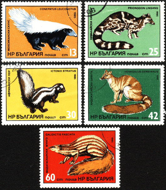 Болгария почтовые марки животные 1985 год