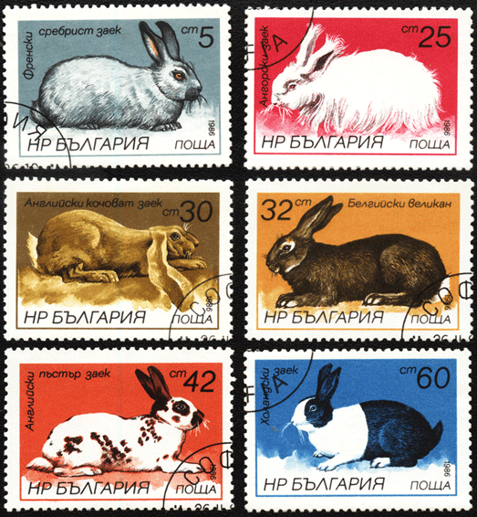 Кролики на почтовых марках Болгарии