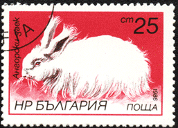 Заяц на почтовых марках Болгария