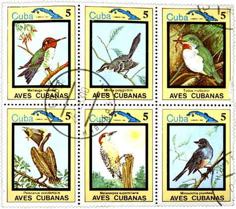 Марки Куба 1983 год птицы