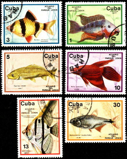 Марки Куба 1977 год рыбы