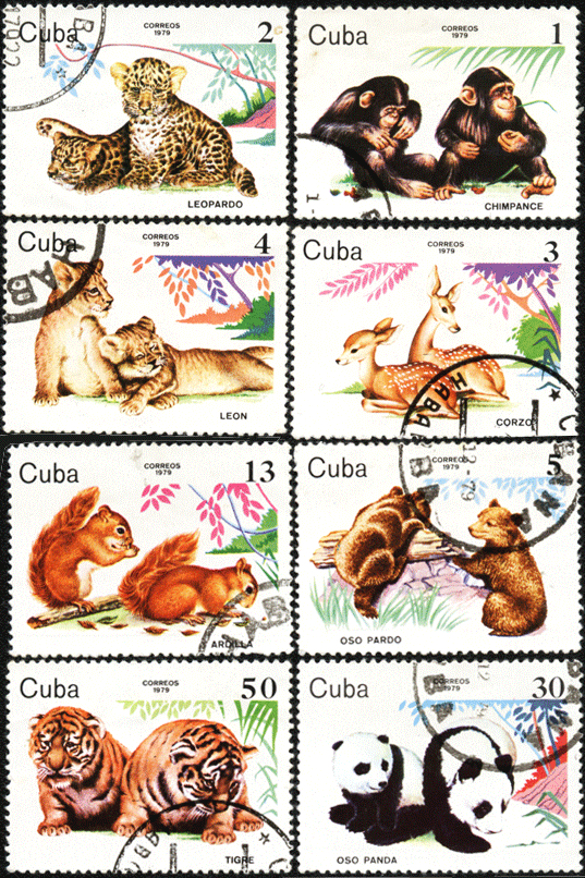 Марки Куба 1979 год детеныши животных