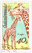 Жираф на почтовых марках