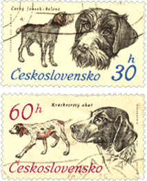Чехословакия 1973 год, Собаки